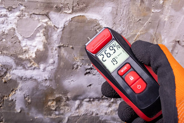Best Residential Mold Remediation in Oak Park, CA