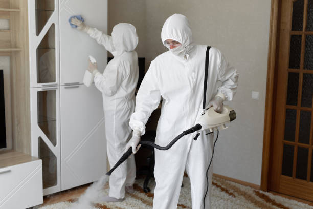 Professional Mold Remediation in Oak Park, CA