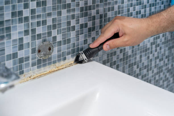 Best White Mold Remediation in Oak Park, CA